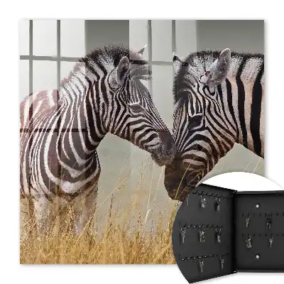Zebra's bij elkaar op een beige achtergrond