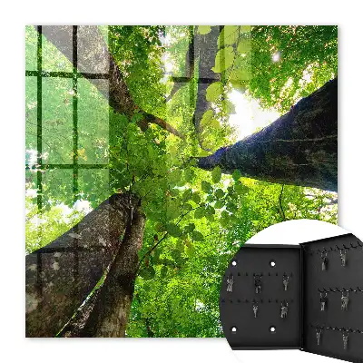 De hemel boven het bos verlicht door licht