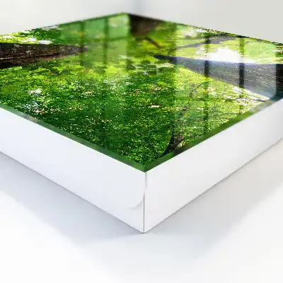 De hemel boven het bos verlicht door licht