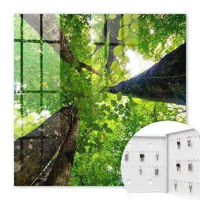 De hemel boven het bos verlicht door licht