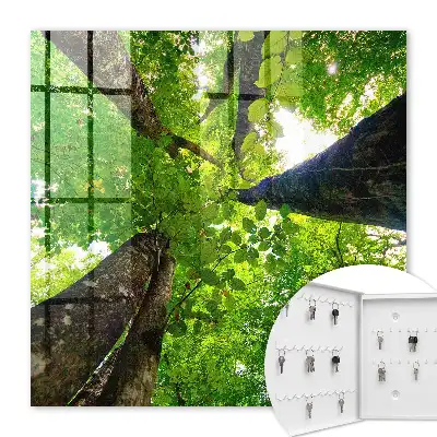 De hemel boven het bos verlicht door licht