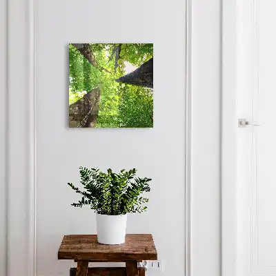 De hemel boven het bos verlicht door licht