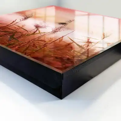 Grassen bij zonsopgang in pasteltinten