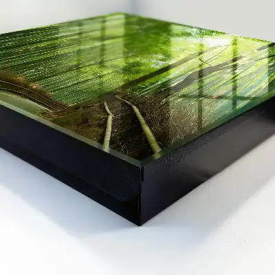 Bamboepad van Groene Harmonie