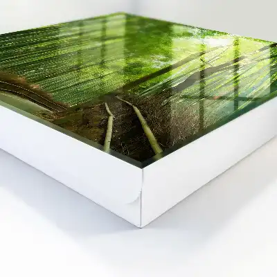 Bamboepad van Groene Harmonie