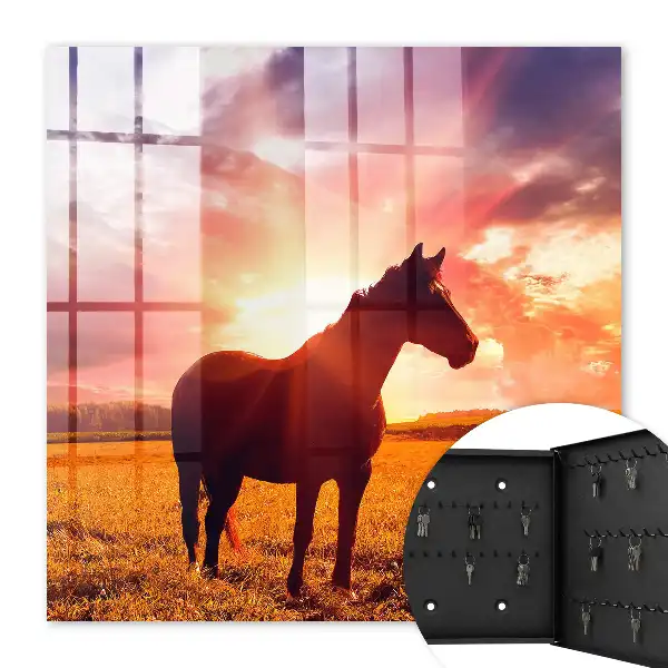 Een paard in de ondergaande zon