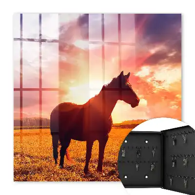 Een paard in de ondergaande zon