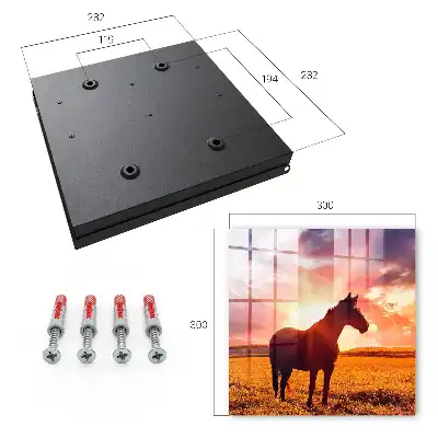 Een paard in de ondergaande zon