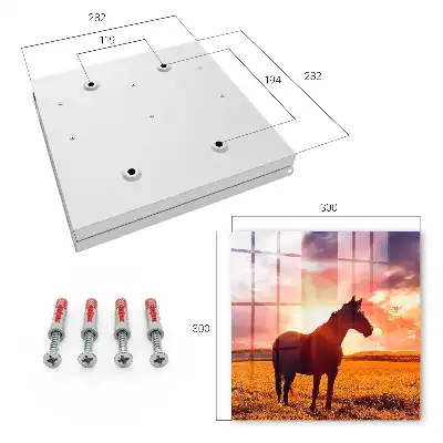 Een paard in de ondergaande zon