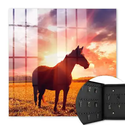 Een paard in de ondergaande zon