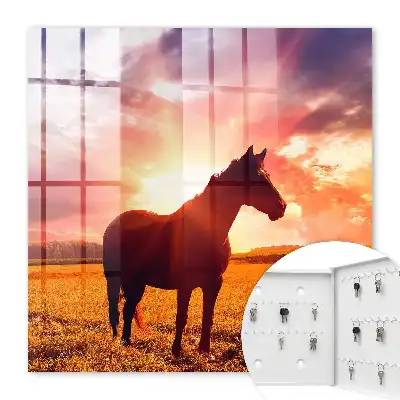 Een paard in de ondergaande zon