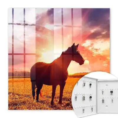 Een paard in de ondergaande zon