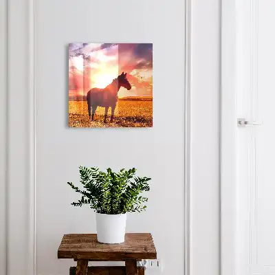 Een paard in de ondergaande zon