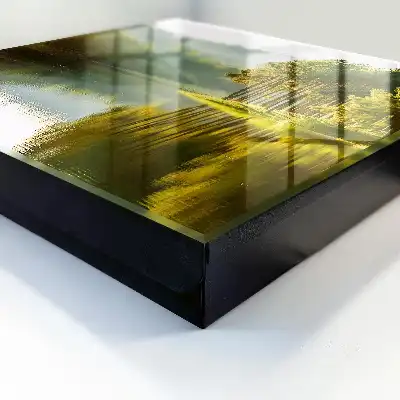 Groen landschap met bomen