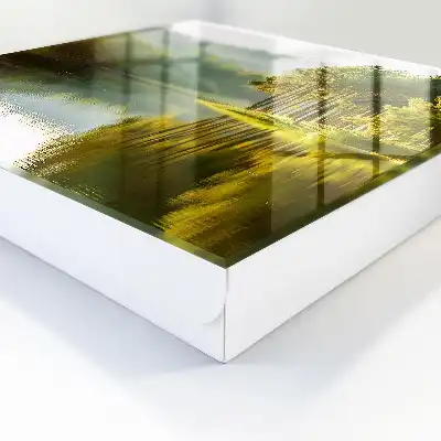 Groen landschap met bomen