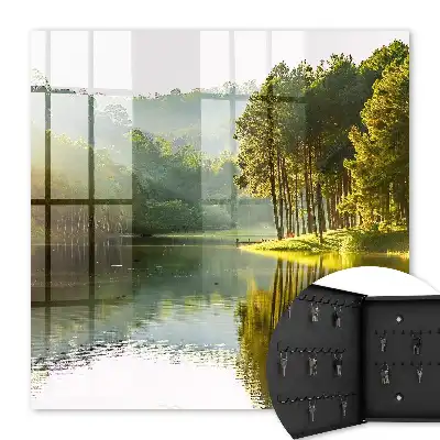 Groen landschap met bomen