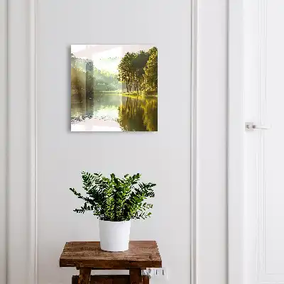 Groen landschap met bomen