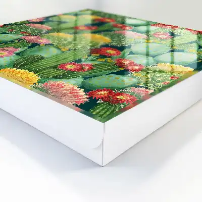 Kleurrijke tuin tegen een donkere achtergrond