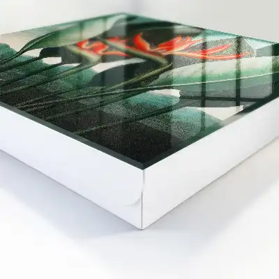 Exotische schoonheid van de natuur in levendige kleuren