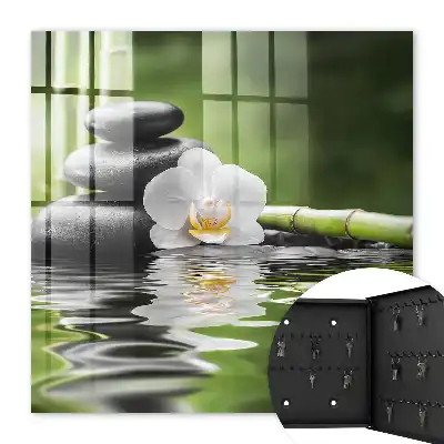 Orchideeën met zenstenen in water