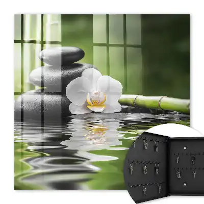 Orchideeën met zenstenen in water