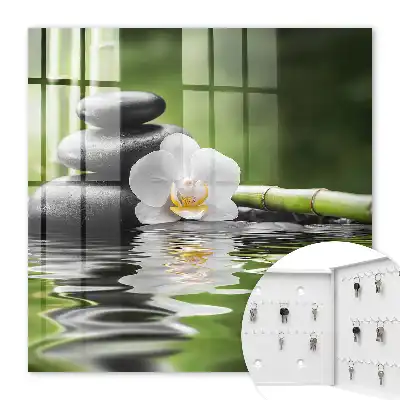 Orchideeën met zenstenen in water