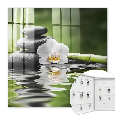 Orchideeën met zenstenen in water