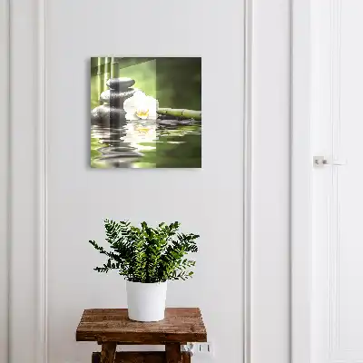 Orchideeën met zenstenen in water