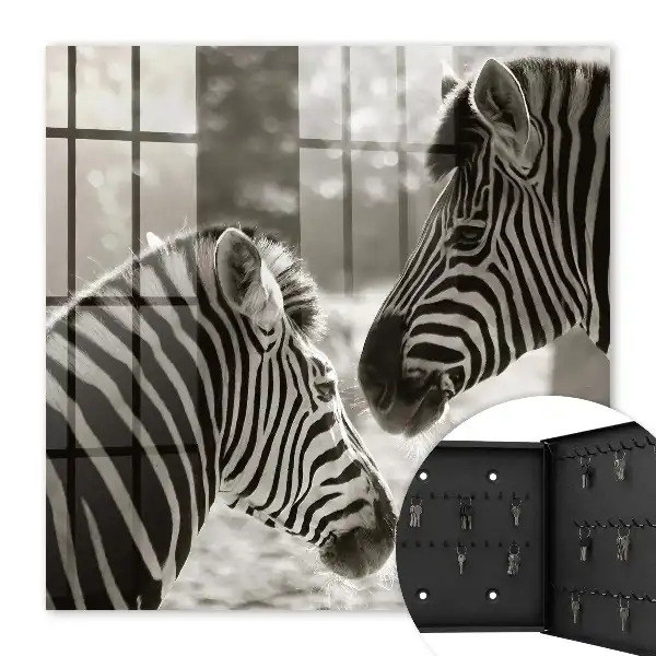 Zebra's in zwart-witte harmonie