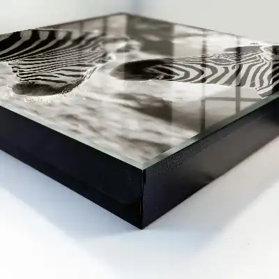 Zebra's in zwart-witte harmonie
