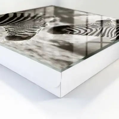 Zebra's in zwart-witte harmonie
