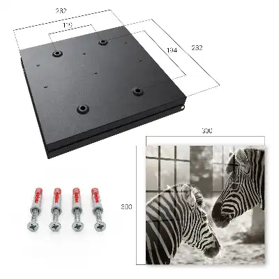 Zebra's in zwart-witte harmonie