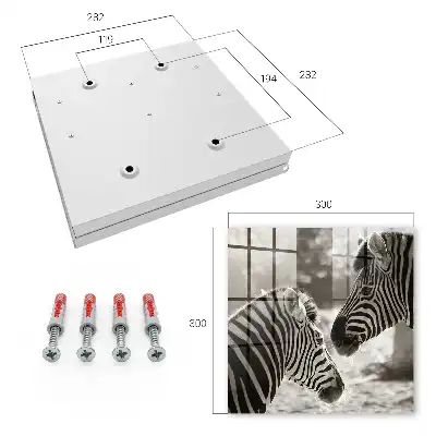 Zebra's in zwart-witte harmonie