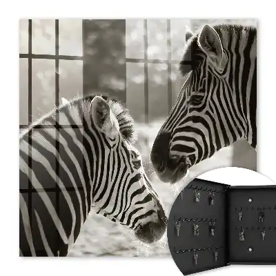 Zebra's in zwart-witte harmonie