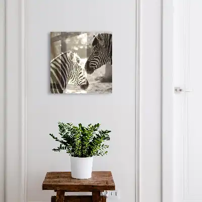 Zebra's in zwart-witte harmonie