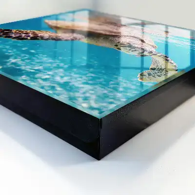 De onderwaterwereld van blauw water