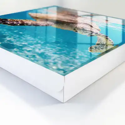 De onderwaterwereld van blauw water