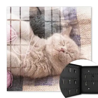 Slapend kitten dat zich rustig ontspant
