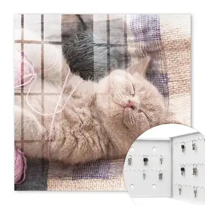 Slapend kitten dat zich rustig ontspant