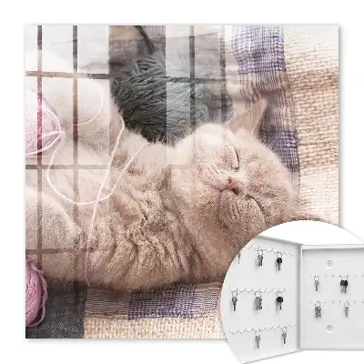 Slapend kitten dat zich rustig ontspant