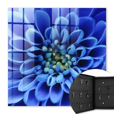 Blauwe spiraalvormige bloem