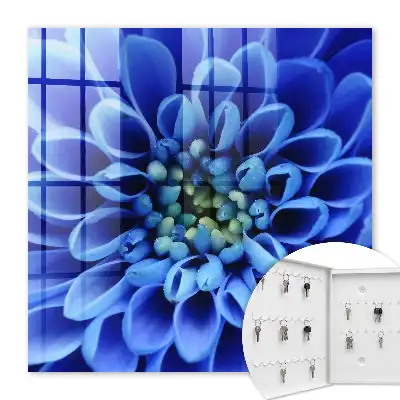 Blauwe spiraalvormige bloem