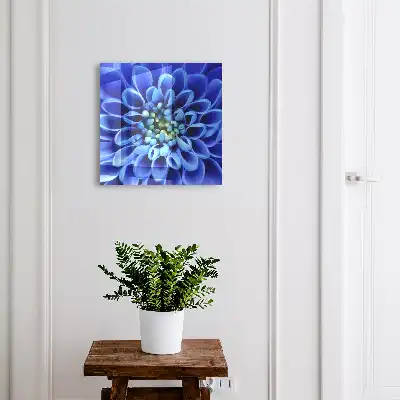 Blauwe spiraalvormige bloem