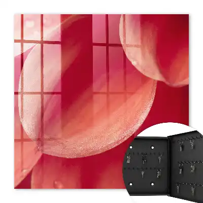 Bloemenpracht in warme kleuren