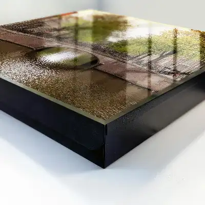 Het Stadskanaal met bomen