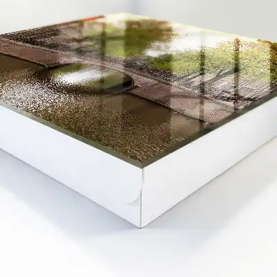 Het Stadskanaal met bomen