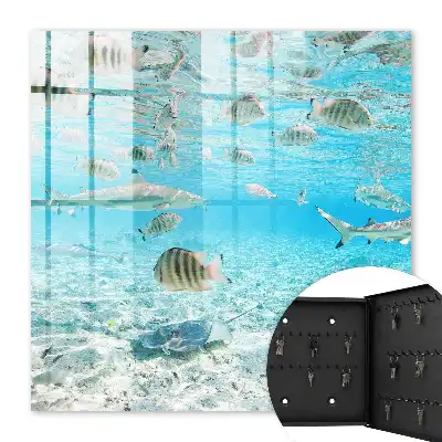 Waterleven in harmonie