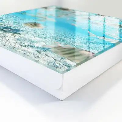 Waterleven in harmonie