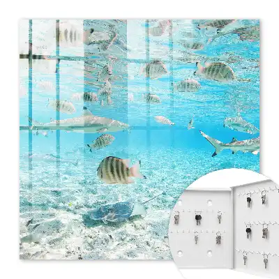 Waterleven in harmonie