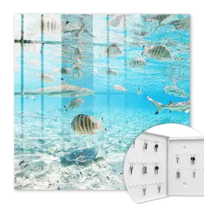 Waterleven in harmonie